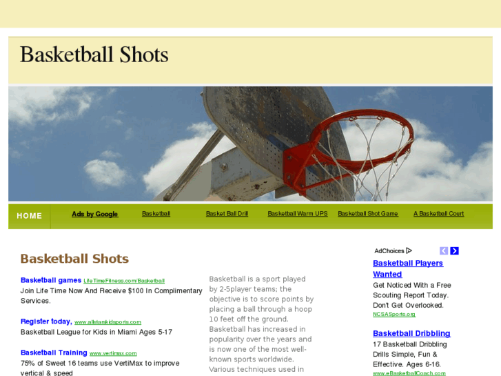 www.basketballshots.net