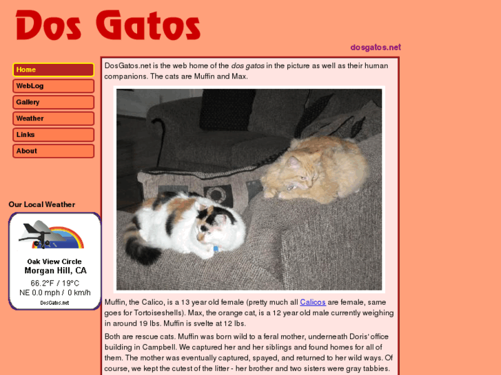 www.dosgatos.net