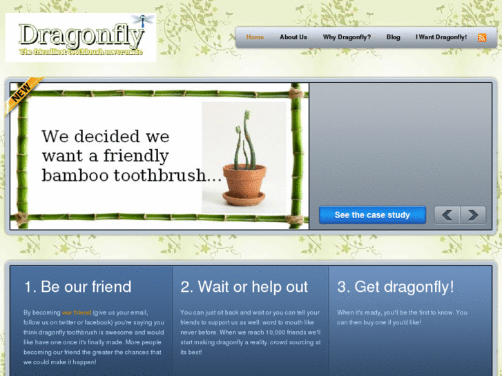 www.dragonflytoothbrushisawesome.com