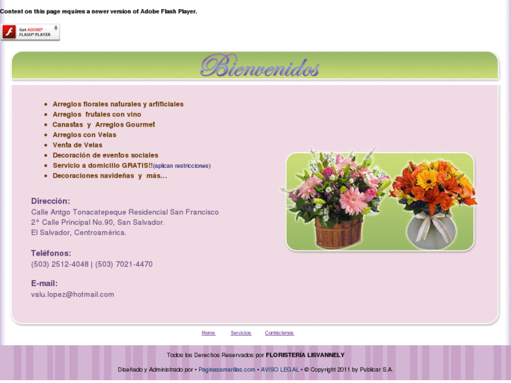 www.floristerialisvannely.com