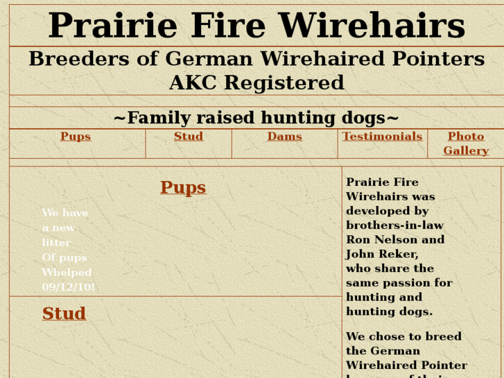 www.pfwirehairs.com