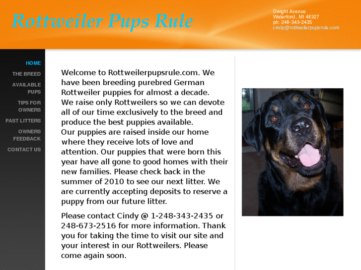 www.rottweilerpupsrule.com