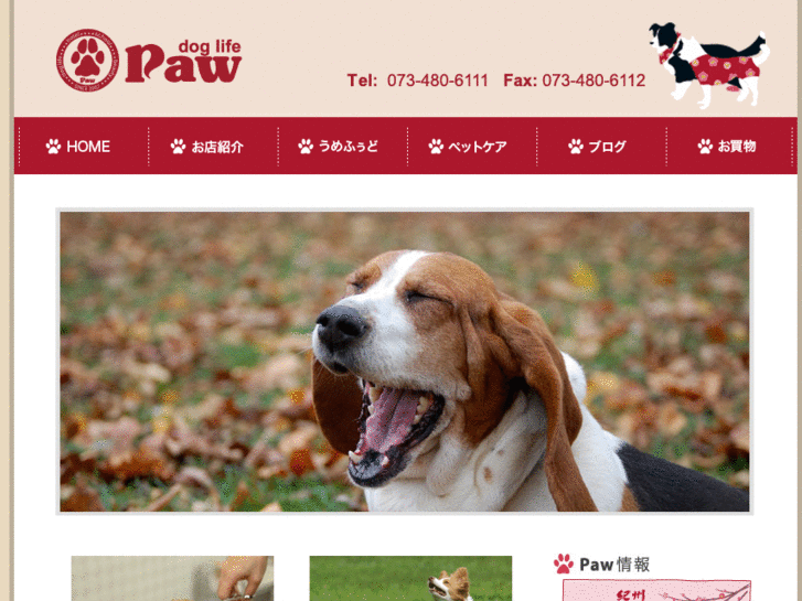 www.dogcafe-paw.com