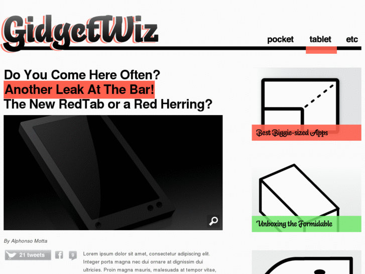 www.gidgetwiz.com