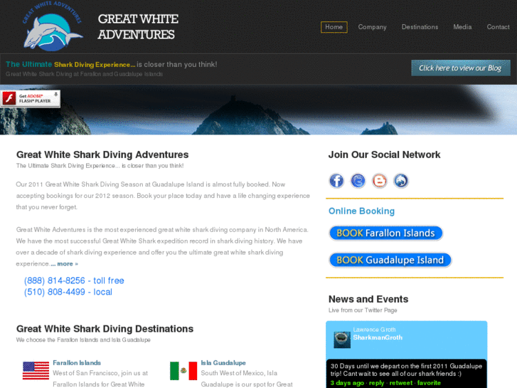 www.greatwhiteadventures.com