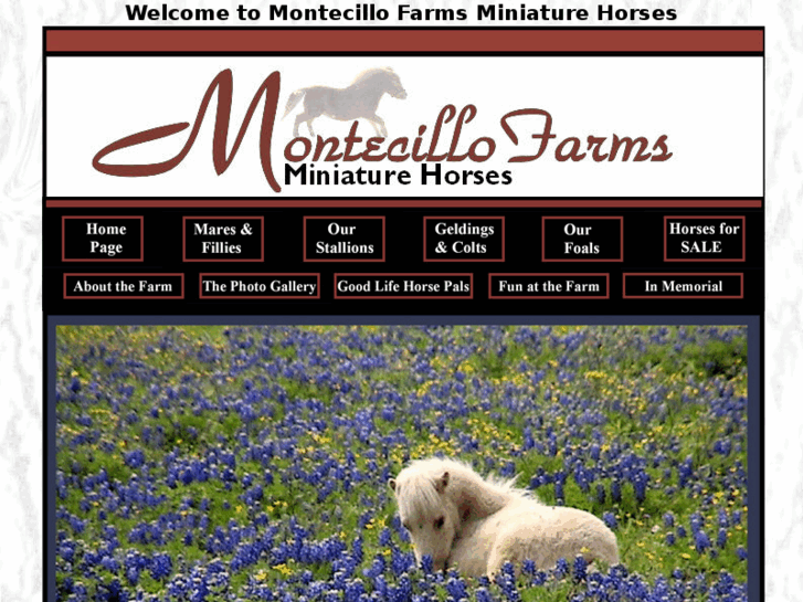 www.montecillofarms.com