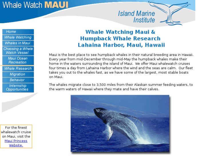 www.whalewatchmaui.com