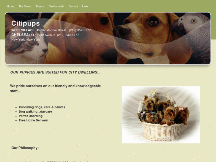 www.citipups.com