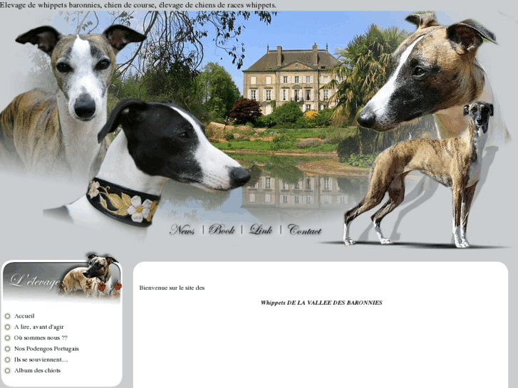 www.levriers-whippets-baronnies.com