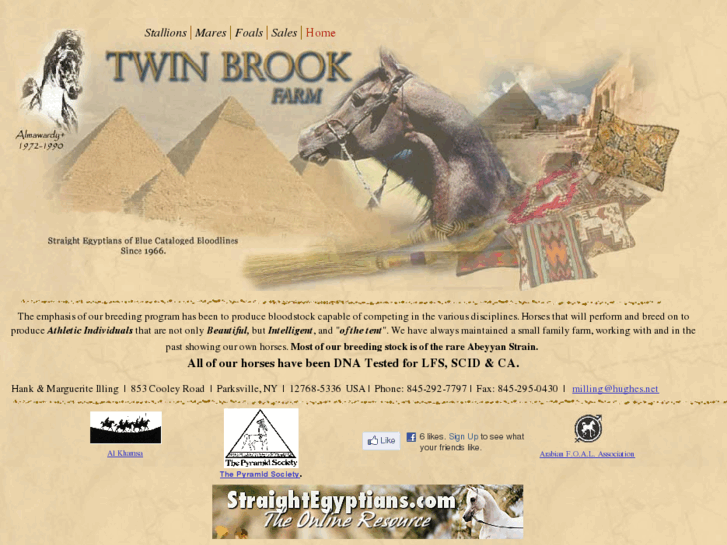 www.twinbrookarabians.com