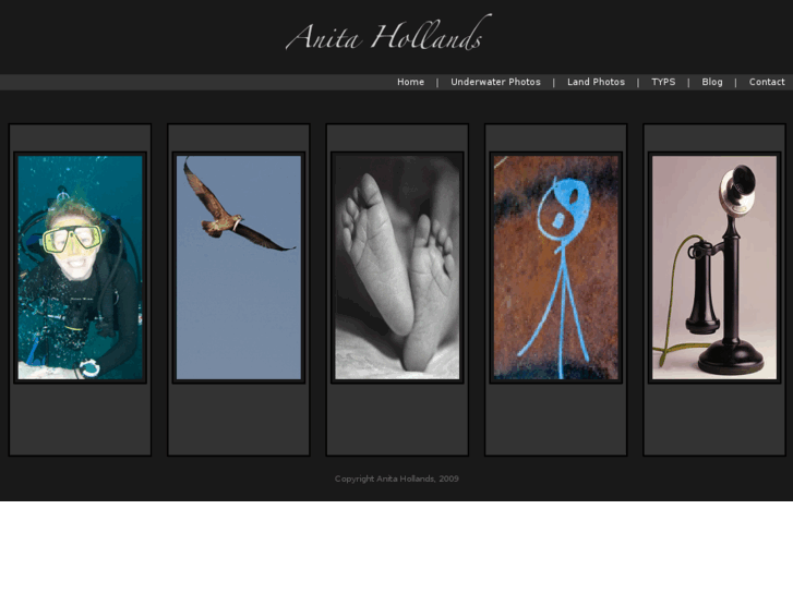 www.anitahollands.com