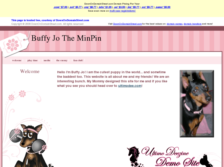 www.buffyjotheminpin.com