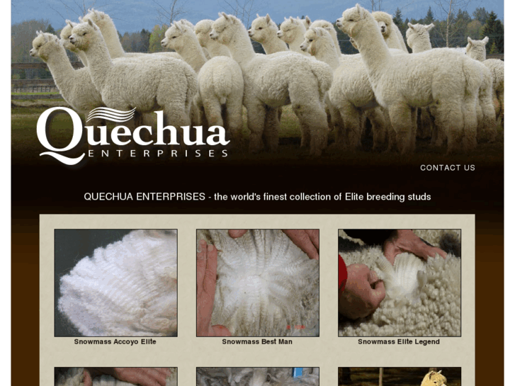 www.quechuaenterprises.com