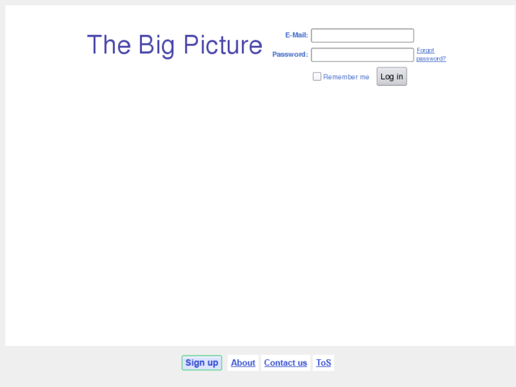 www.thebigpic.org