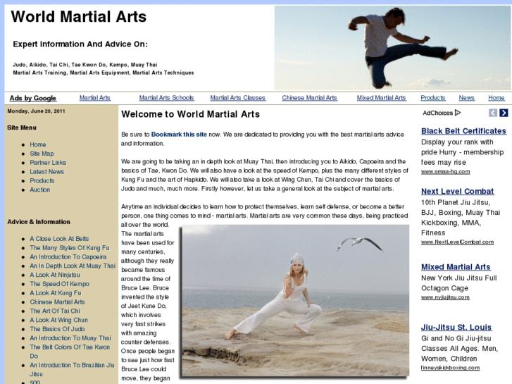 www.world-martial-arts.info