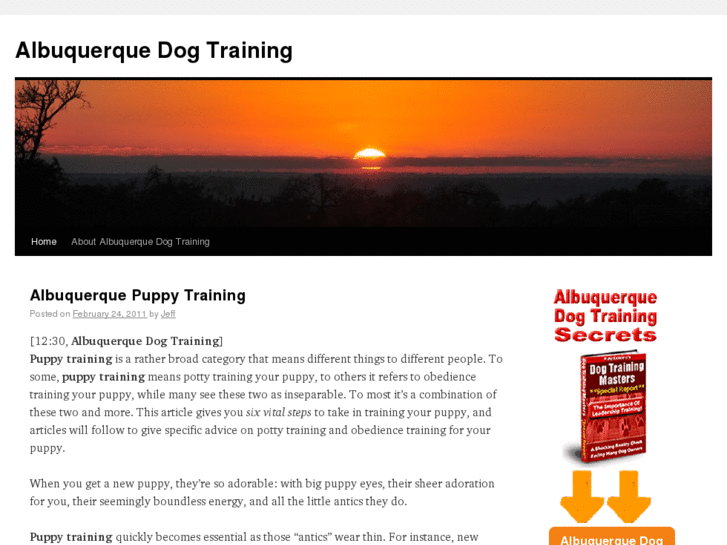 www.albuquerquedogtraining.com