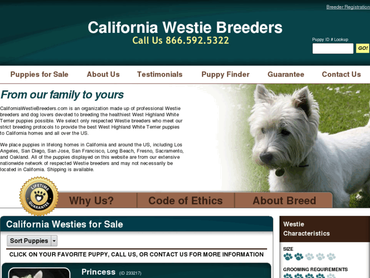 www.californiawestiebreeders.com