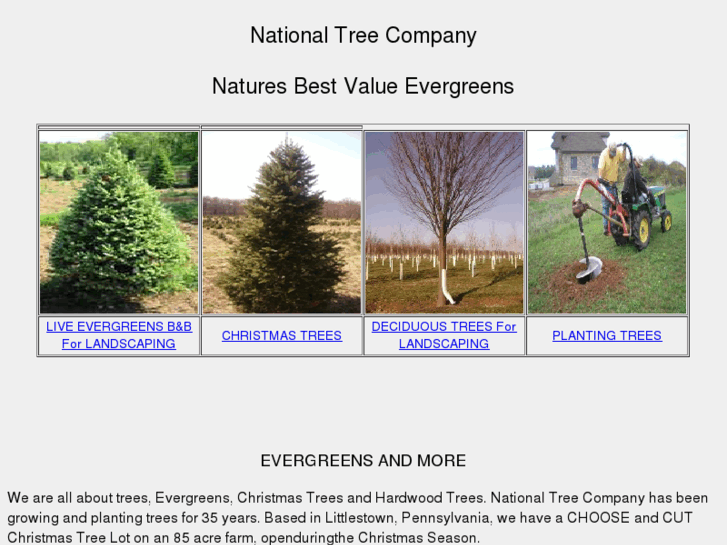 www.naturesbestvalueevergreens.com