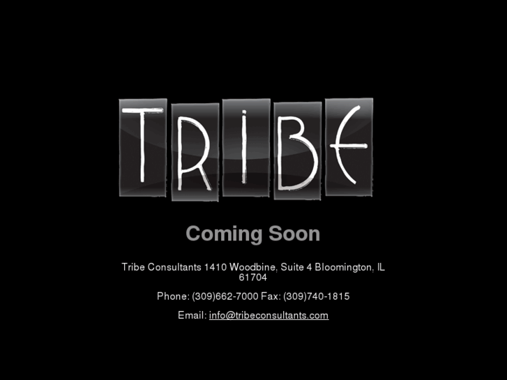 www.tribeconsultants.com