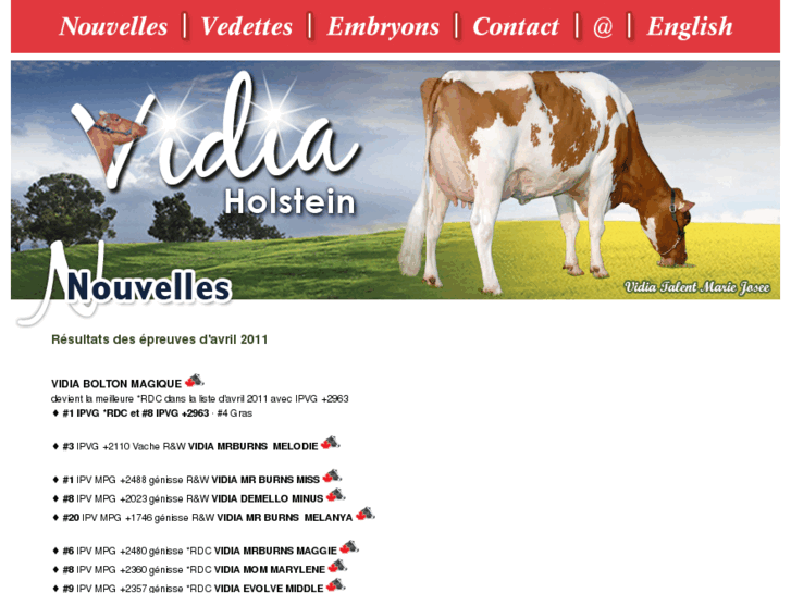 www.vidiaholstein.com