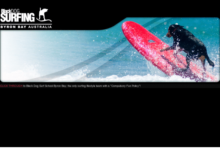 www.byronbaylearntosurf.com