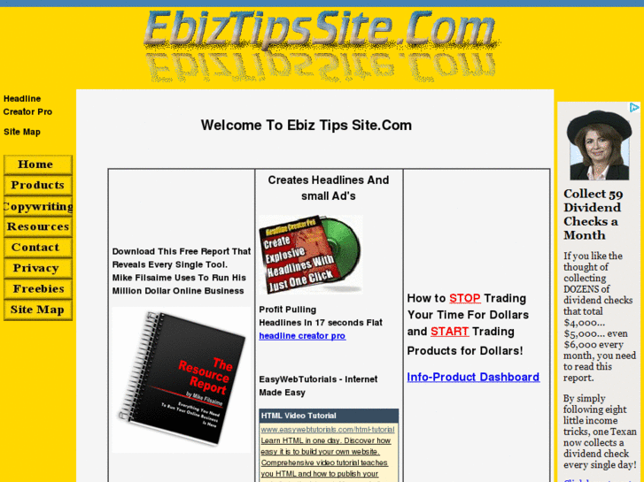 www.ebiztipssite.com