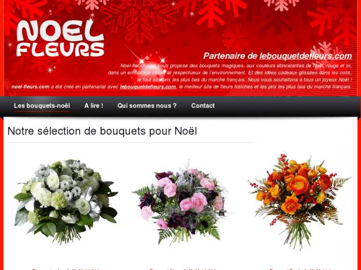 www.fleurs-noel.com