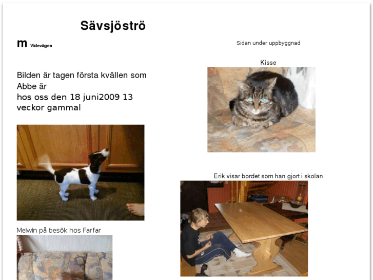 www.savsjostrom.com