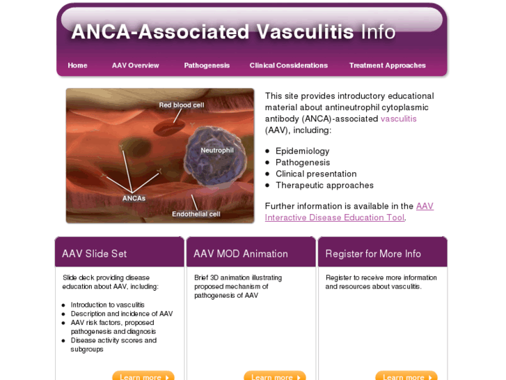 www.ancavasculitis.com