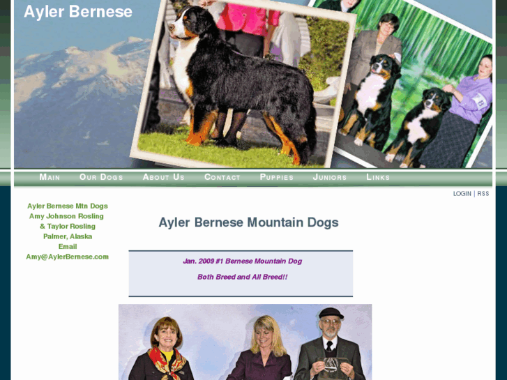 www.aylerbernese.com