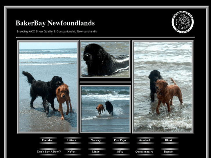 www.bakerbaynewfoundlands.com