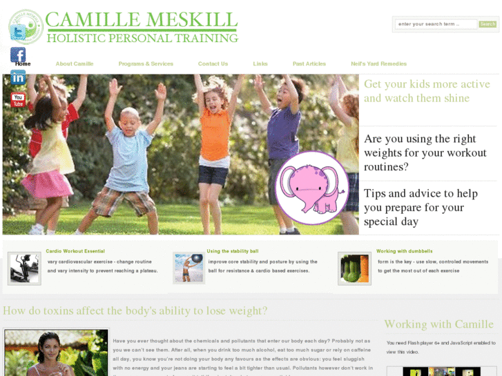 www.camillemeskill.co.uk