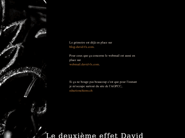 www.david-fx.com