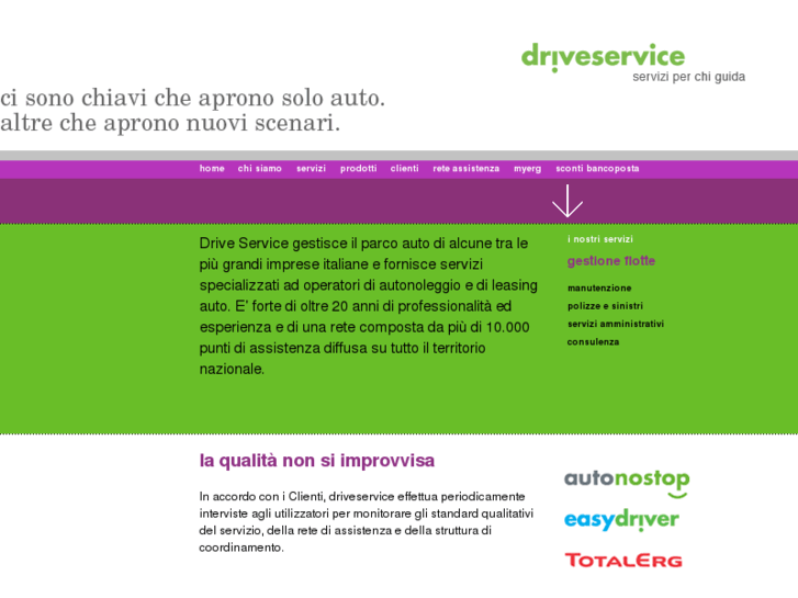 www.driveservice.it