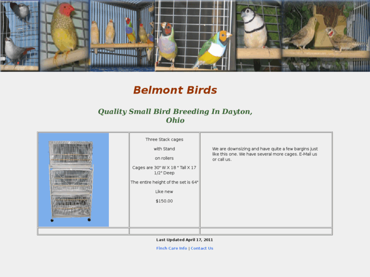 www.belmontbirds.com