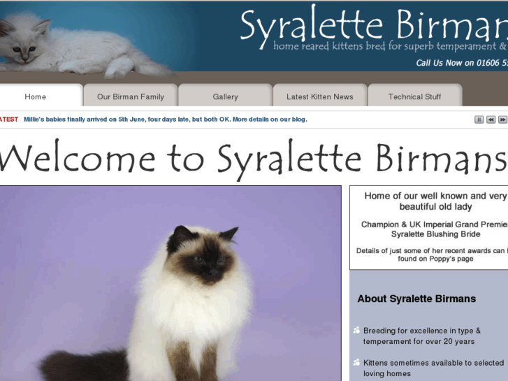 www.syralettebirmans.com