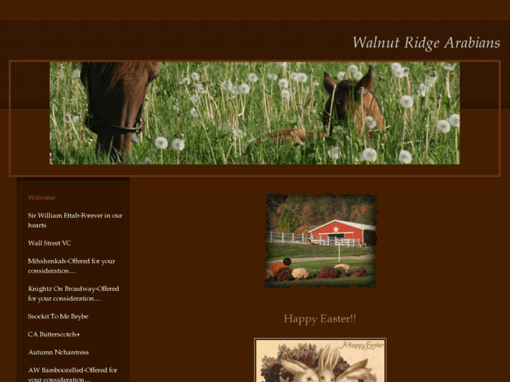 www.walnutridgearabians.com