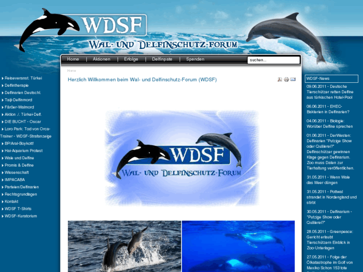 www.wdsf.eu