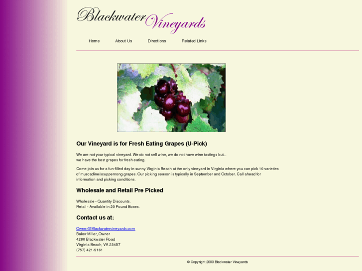 www.blackwatervineyards.com