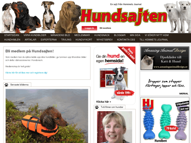 www.hundsajten.nu