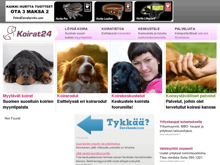 www.koirat24.fi