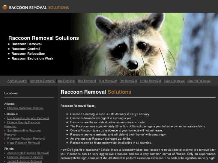 www.raccoonremovalsolutions.com