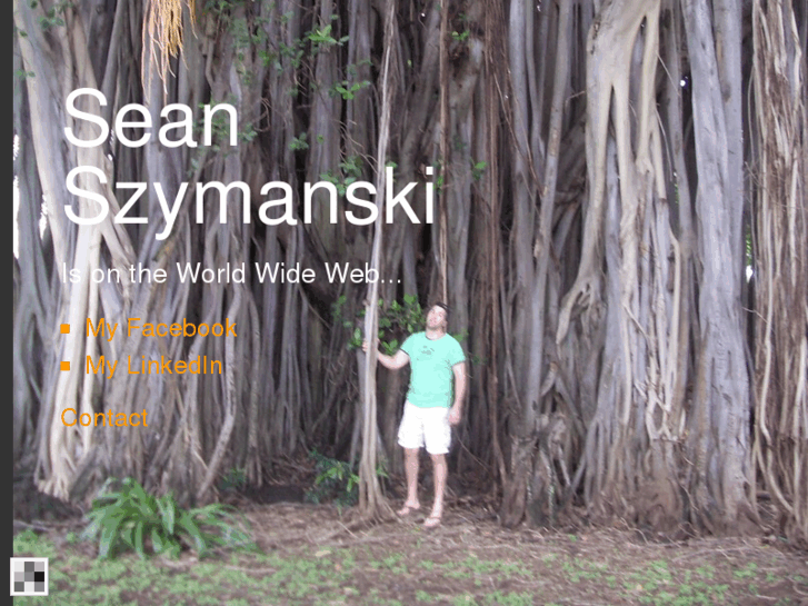 www.seanszymanski.com