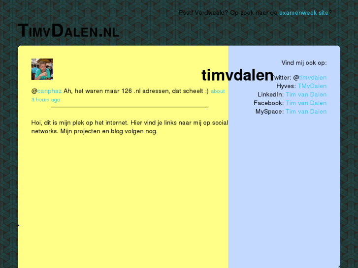 www.timvdalen.nl