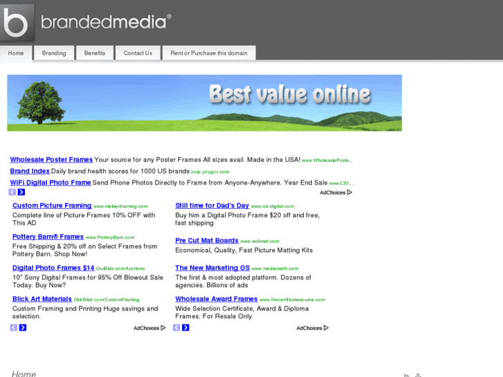www.brandedframes.net