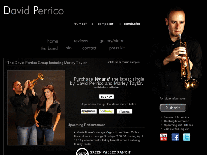 www.davidperrico.com