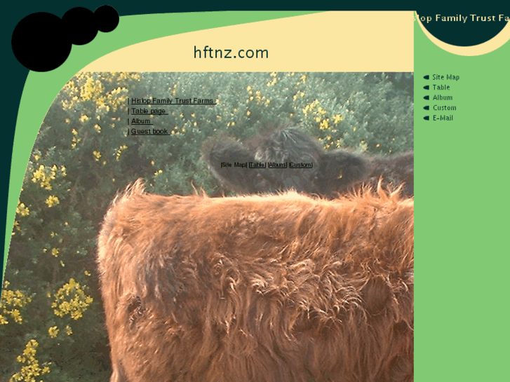 www.hftnz.com