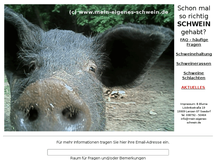 www.schweine-leasing.com