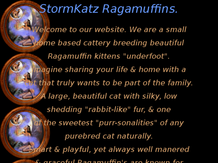 www.stormkatz.com