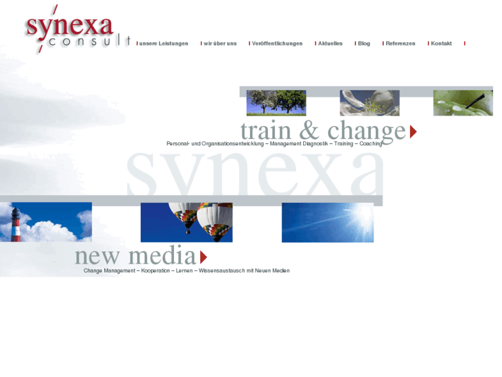 www.synexa-consult.com